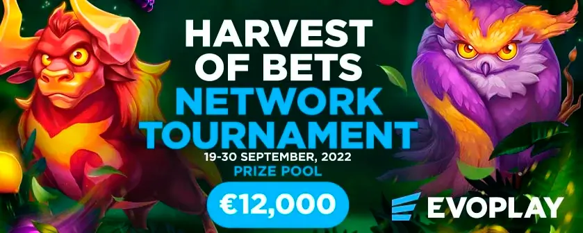 harvest-of-bets